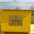 Comune di Viano: I campi delle api